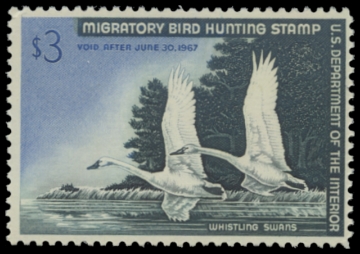Scan of RW33 1966 Duck Stamp. MNH