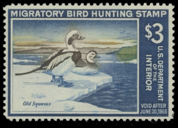 Scan of RW34 1967 Duck Stamp. MNH