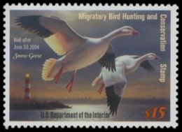 Scan of RW70 2003 Duck Stamp 