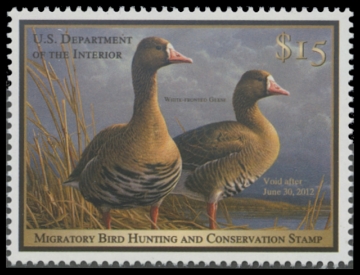 Scan of RW78 2011 Duck Stamp 