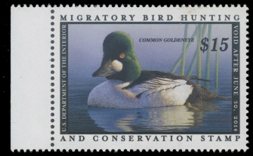 Scan of RW80 2013 Duck Stamp 