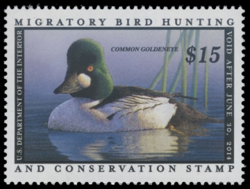 Scan of RW80 2013 Duck Stamp 