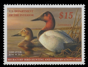 Scan of RW81 2014 Duck Stamp 