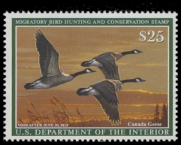 Scan of RW84 2017 Duck Stamp 