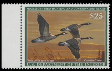 Scan of RW84 2017 Duck Stamp 