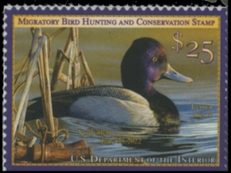 Scan of RW88 2021 Duck Stamp 