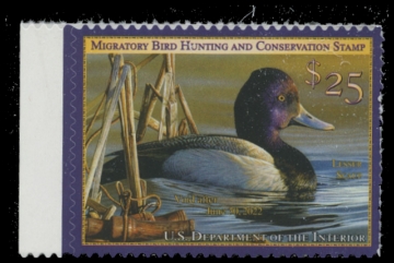 Scan of RW88 2021 Duck Stamp 