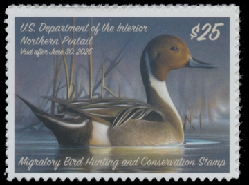 Scan of RW91 2024 Duck Stamp 