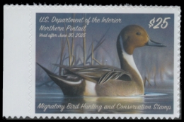 Scan of RW91 2024 Duck Stamp 