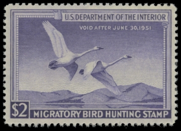 Scan of RW17 1950 Duck Stamp 