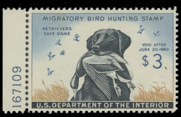 Scan of RW26 1959 Duck Stamp. MNH