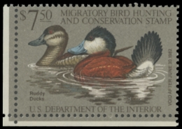 Scan of RW48 1981 Duck Stamp. MNH