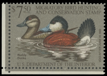 Scan of RW48 1981 Duck Stamp. MNH