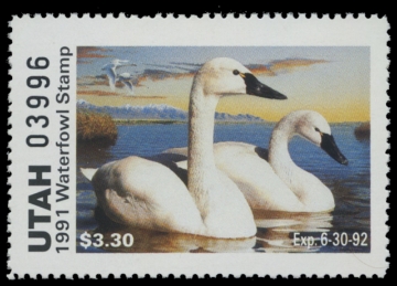 Scan of 1991 Utah Duck Stamp