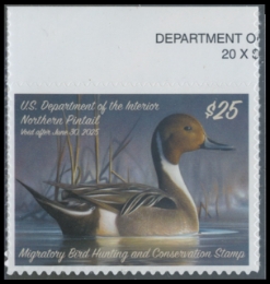 Scan of RW91 2024 Duck Stamp 