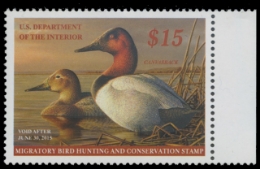 Scan of RW81 2014 Duck Stamp 