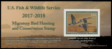 Scan of RW84A 2017 Duck Stamp 