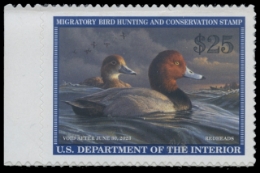 Scan of RW89 2022 Duck Stamp