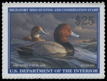 Scan of RW89 2022 Duck Stamp