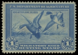 Scan of RW1 1934 Duck Stamp. Unsigned