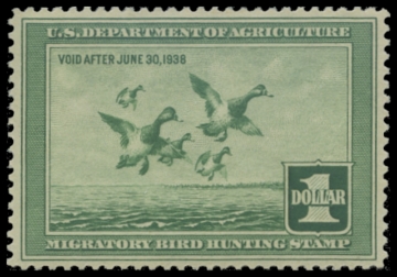 Scan of RW4 1937 Duck Stamp 