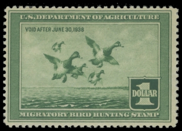 Scan of RW4 1937 Duck Stamp 