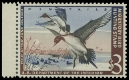 Scan of RW29 1962 Duck Stamp. MNH