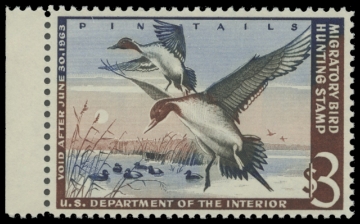 Scan of RW29 1962 Duck Stamp. MNH
