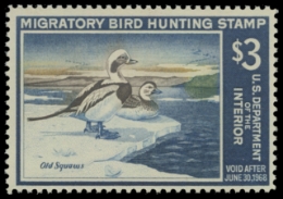 Scan of RW34 1967 Duck Stamp. MNH