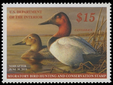 Scan of RW81 2014 Duck Stamp