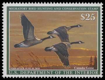 Scan of RW84 2017 Duck Stamp