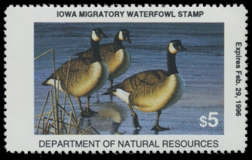 Scan of 1995 Iowa Duck Stamp