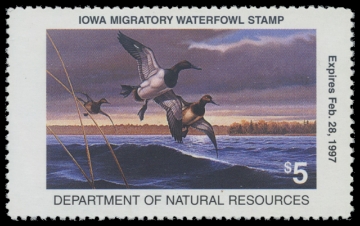 Scan of 1996 Iowa Duck Stamp