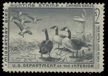 Scan of RW25 1958 Duck Stamp. Unsigned