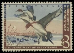 Scan of RW29 1962 Duck Stamp. MNH