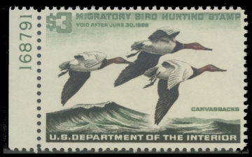 Scan of RW32 1965 Duck Stamp 