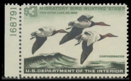Scan of RW32 1965 Duck Stamp. MNH