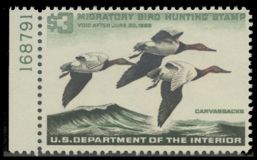 Scan of RW32 1965 Duck Stamp. MNH