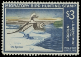 Scan of RW34 1967 Duck Stamp. MNH