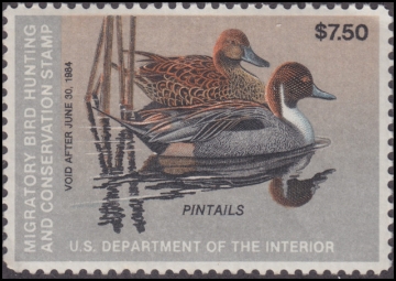 Scan of RW50 1983 Duck Stamp 