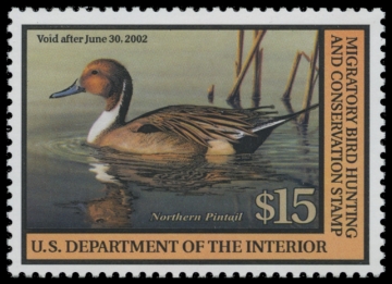Scan of RW68 2001 Duck Stamp. MNH