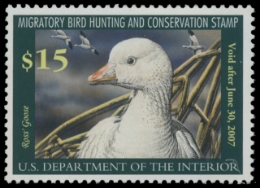 Scan of RW73 2006 Duck Stamp. MNH