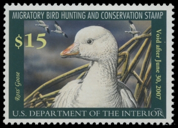Scan of RW73 2006 Duck Stamp. MNH