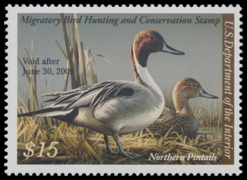 Scan of RW75 2008 Duck Stamp 