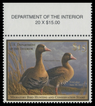 Scan of RW78 2011 Duck Stamp 