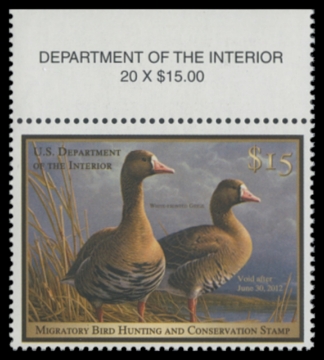 Scan of RW78 2011 Duck Stamp. MNH