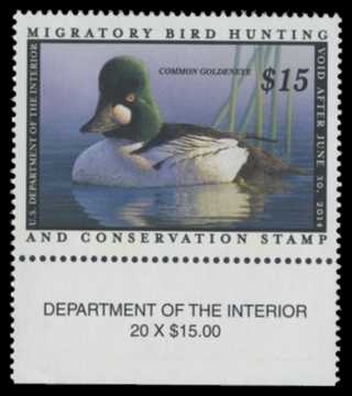 Scan of RW80 2013 Duck Stamp 