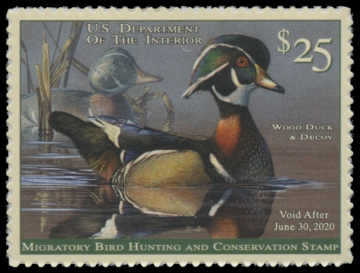 Scan of RW86 2019 Duck Stamp 