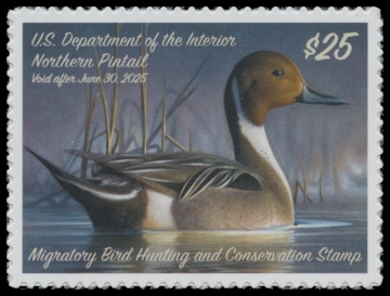 Scan of RW91 2024 Duck Stamp 