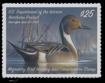 Scan of RW91 2024 Duck Stamp 